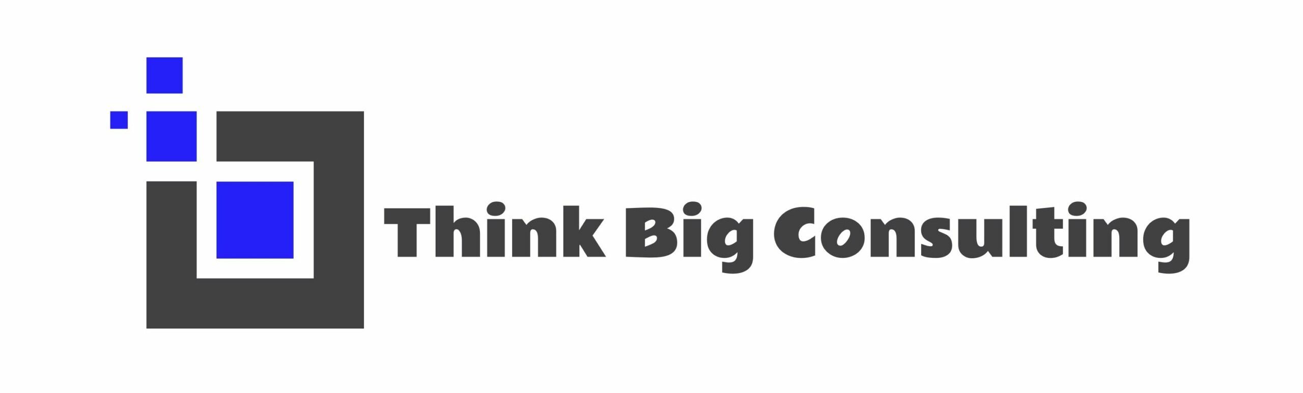 Think Big Consulting